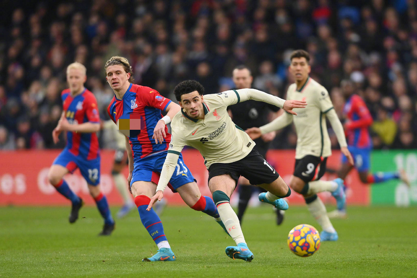 西部地区的 西部地区的